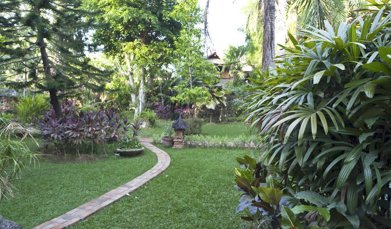 Rumah Kita * Lovina (Bali)