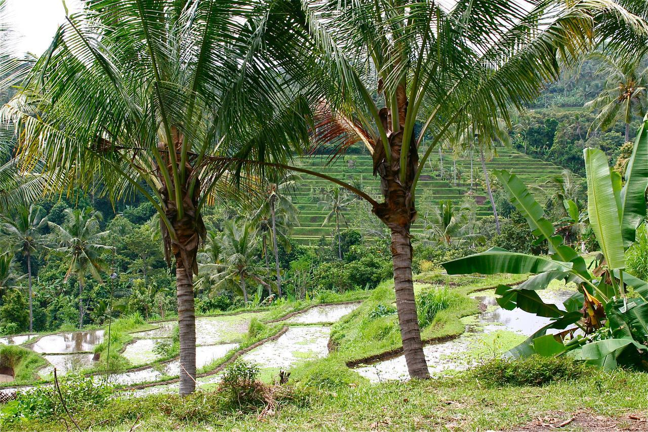 Holiday home Rumah Kita Lovina (Bali)