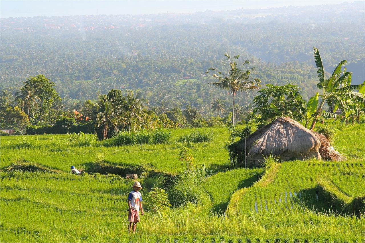 Rumah Kita *