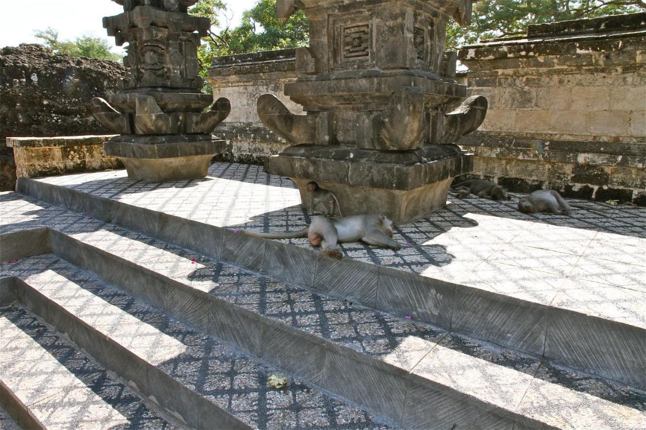 Rumah Kita * Lovina (Bali)
